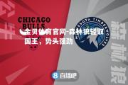 金贝体育官网-森林狼轻取国王，势头强劲
