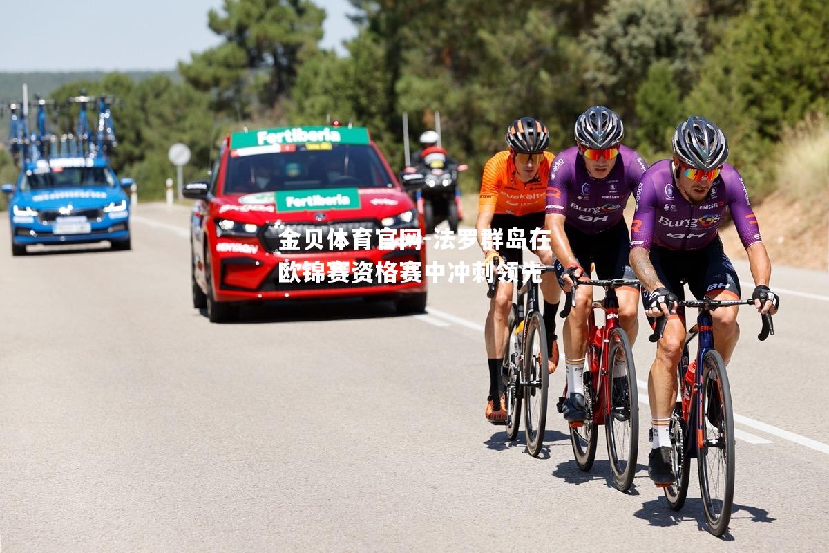 法罗群岛在欧锦赛资格赛中冲刺领先
