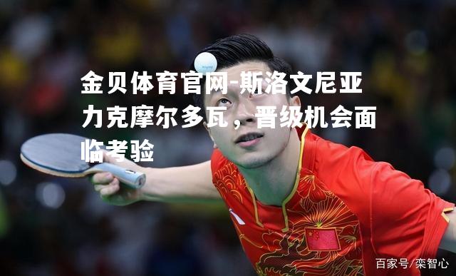 斯洛文尼亚力克摩尔多瓦，晋级机会面临考验