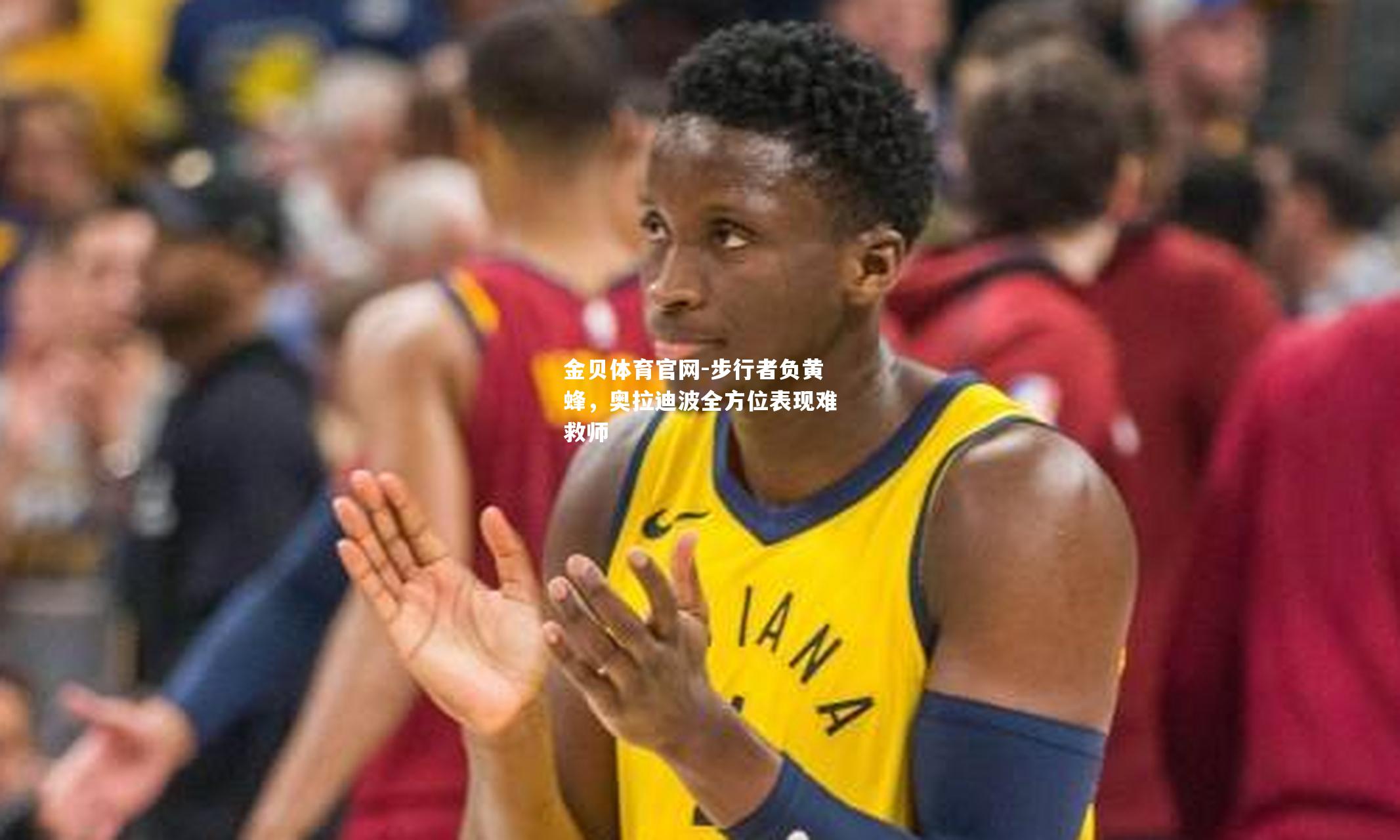 步行者负黄蜂，奥拉迪波全方位表现难救师