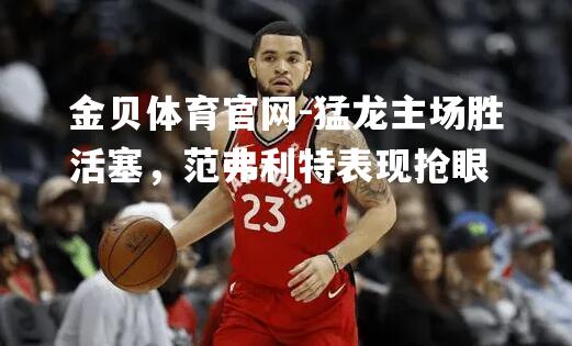 猛龙主场胜活塞，范弗利特表现抢眼