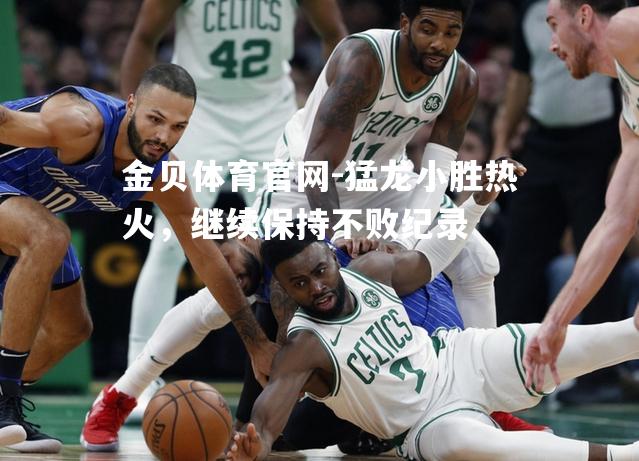 猛龙小胜热火，继续保持不败纪录