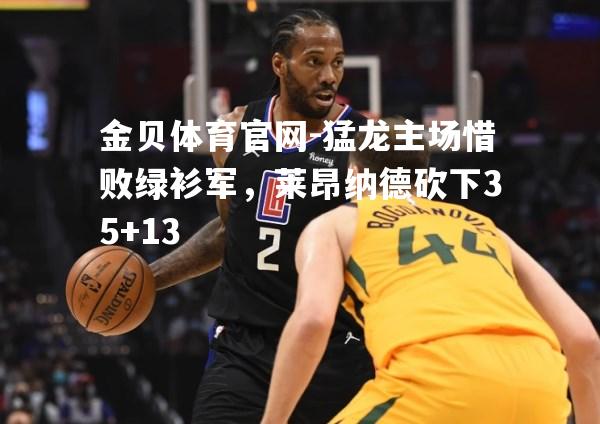 猛龙主场惜败绿衫军，莱昂纳德砍下35+13