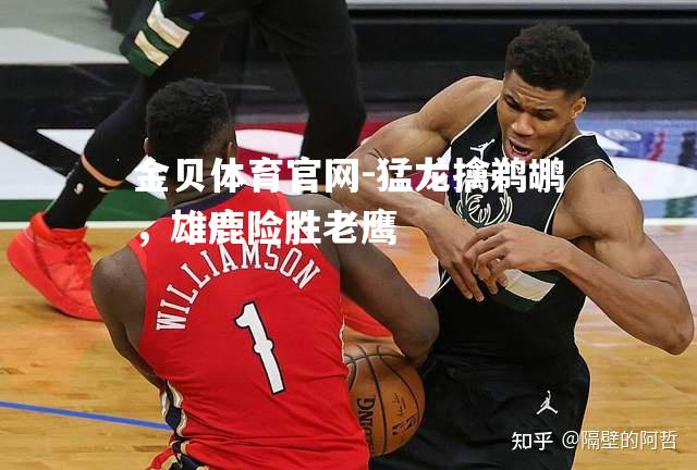 猛龙擒鹈鹕，雄鹿险胜老鹰