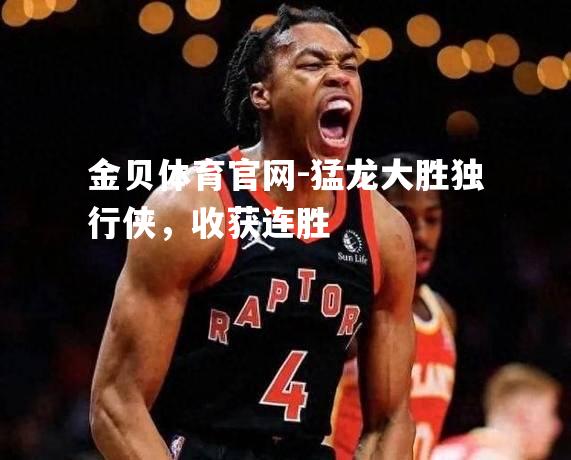 猛龙大胜独行侠，收获连胜