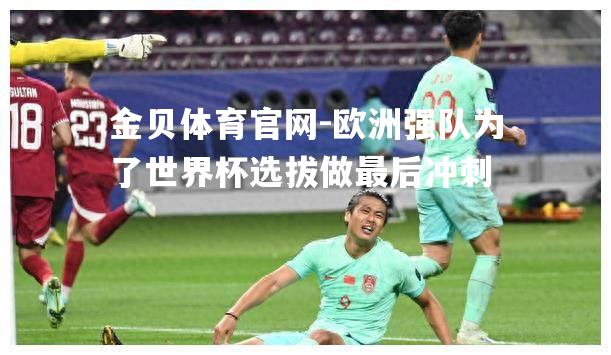 欧洲强队为了世界杯选拔做最后冲刺