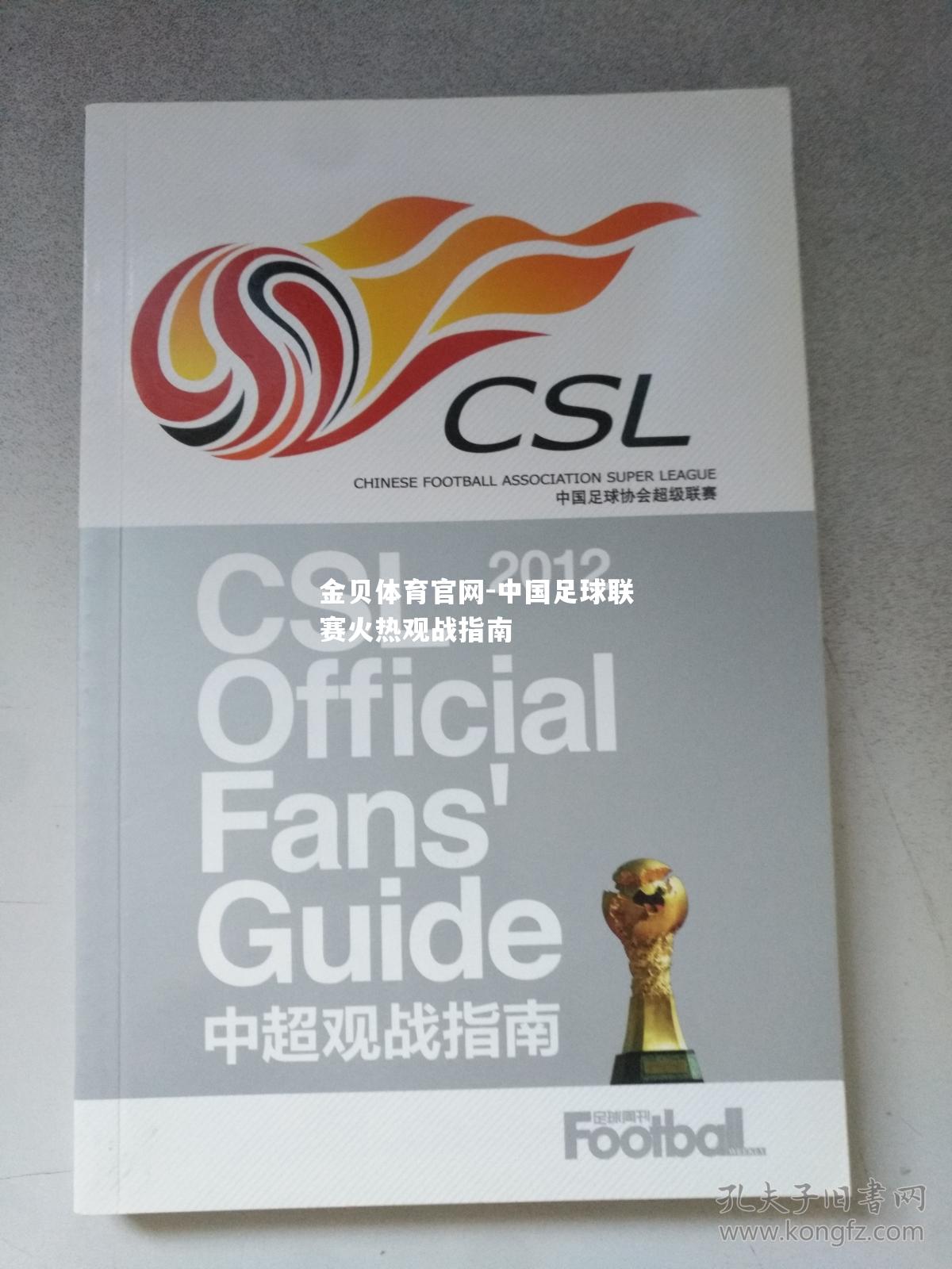 中国足球联赛火热观战指南
