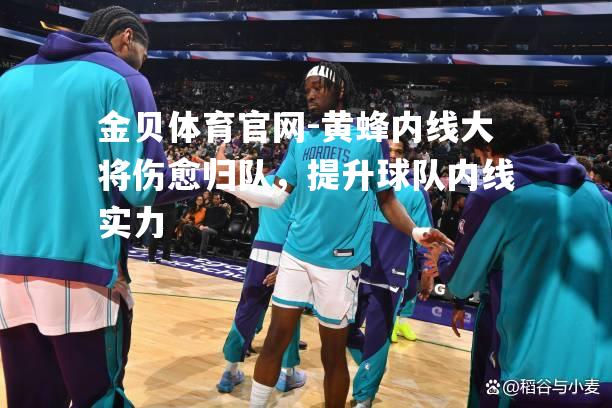 黄蜂内线大将伤愈归队，提升球队内线实力