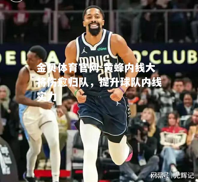 黄蜂内线大将伤愈归队，提升球队内线实力