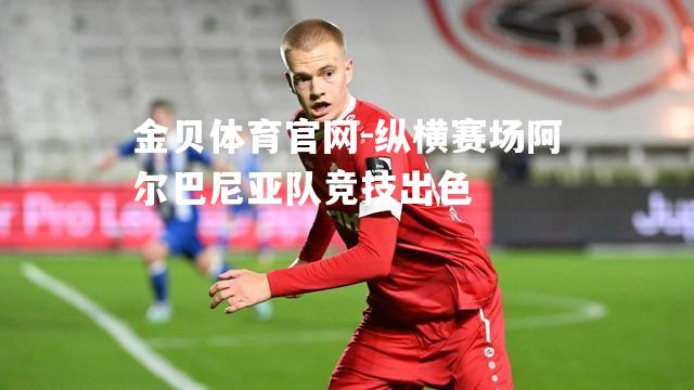 纵横赛场阿尔巴尼亚队竞技出色